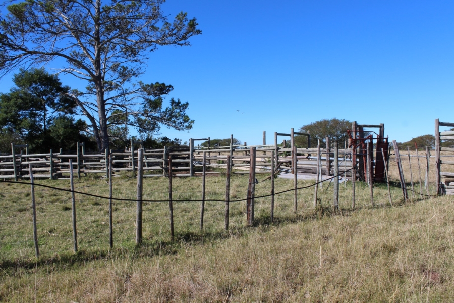 1 Bedroom Property for Sale in Bathurst Rural Eastern Cape